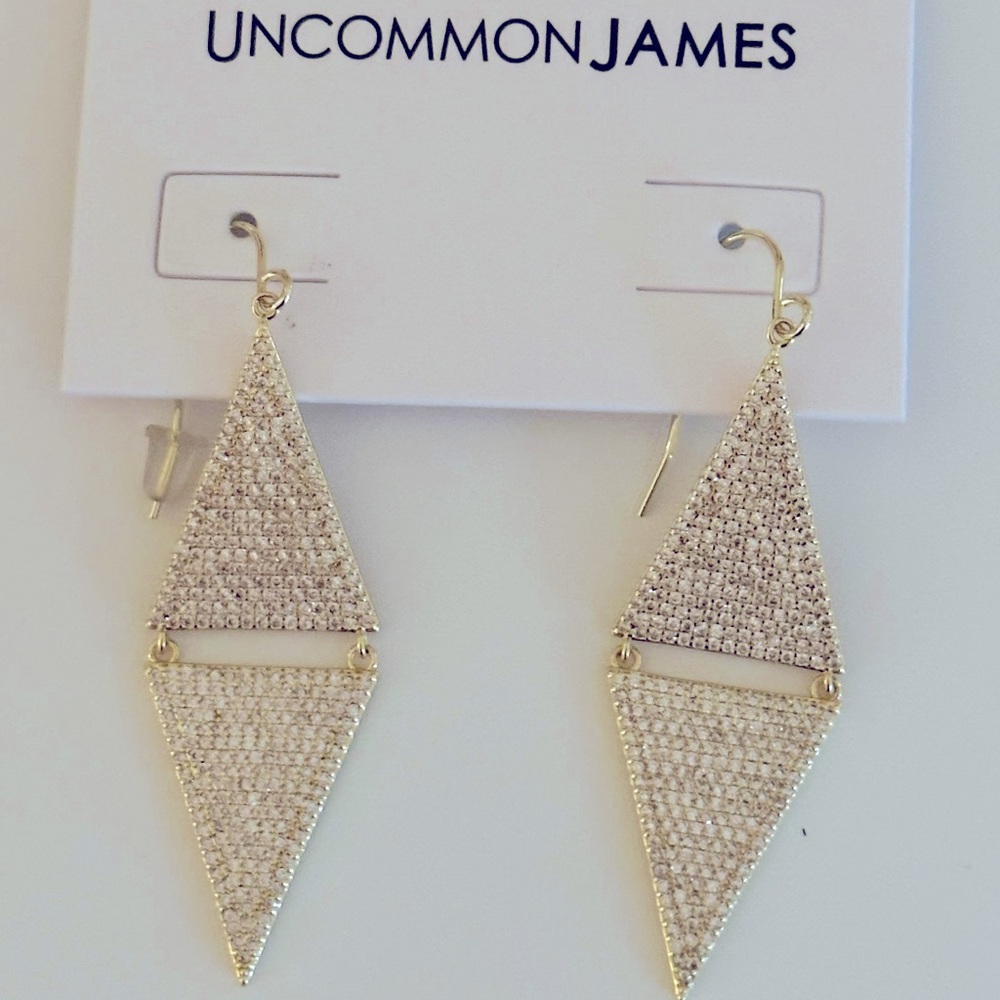 🔥NWOT Uncommon James earrings.